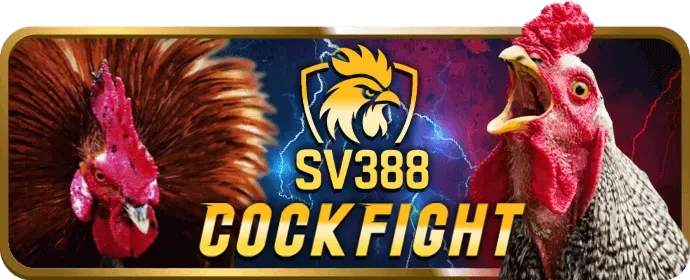 Hình ảnh minh họa mẹo và chiến lược chơi slot hiệu quả
