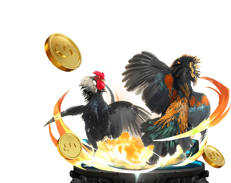 Tầm nhìn của x8 casino